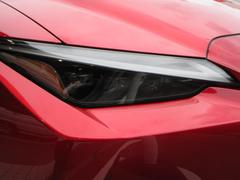 ̻Υꥢ󥹤β˾Υϥӡ̣ţĥ˥åȤ 5