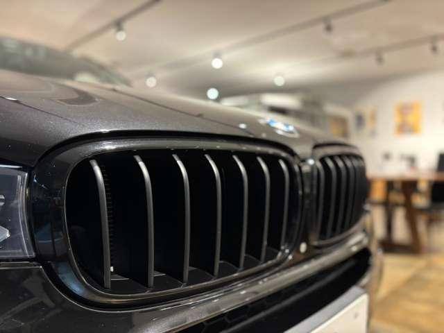 X5 xDrive 35d Mスポーツ ’’BLACKOUT’’ 96台限定車 特別装備(18枚目)
