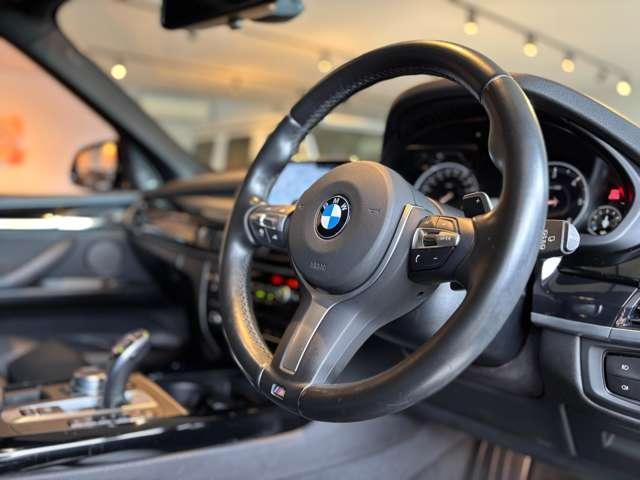 X5 xDrive 35d Mスポーツ ’’BLACKOUT’’ 96台限定車 特別装備(35枚目)