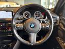 xDrive 35d Mスポーツ ’’BLACKOUT’’ 96台限定車 特別装備(32枚目)