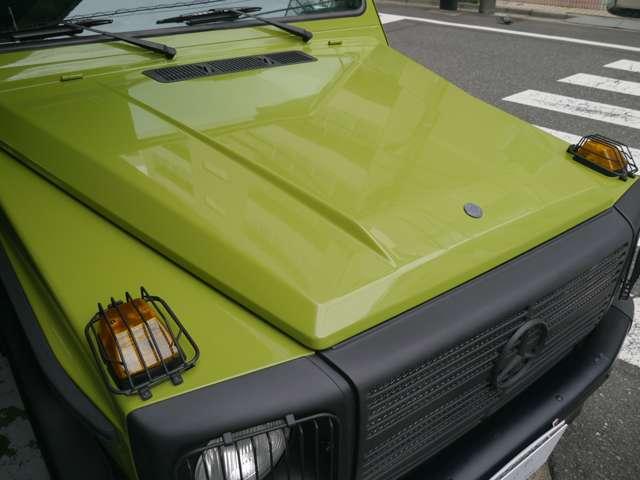 Ｇクラス 　オリジナルカラークラッシックオプション　（ライトグリーン）（3枚目）