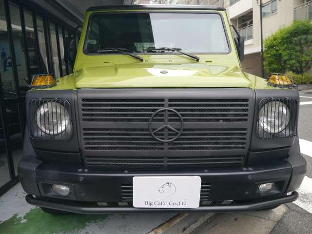 Ｇクラス 　オリジナルカラークラッシックオプション　（ライトグリーン）（4枚目）