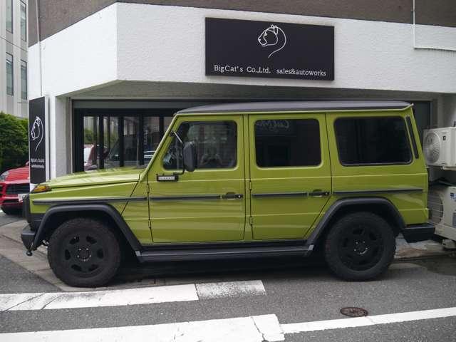 Ｇクラス 　オリジナルカラークラッシックオプション　（ライトグリーン）（6枚目）