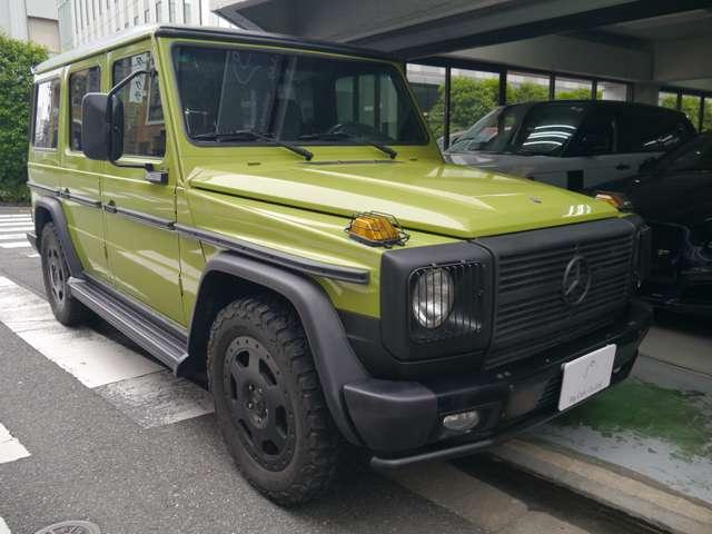 Ｇクラス 　オリジナルカラークラッシックオプション　（ライトグリーン）（7枚目）