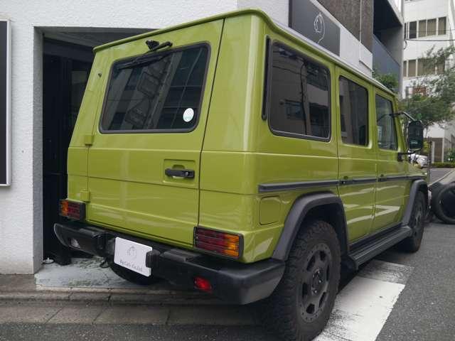 Ｇクラス 　オリジナルカラークラッシックオプション　（ライトグリーン）（9枚目）