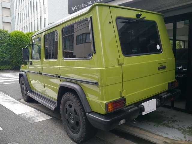 Ｇクラス 　オリジナルカラークラッシックオプション　（ライトグリーン）（11枚目）