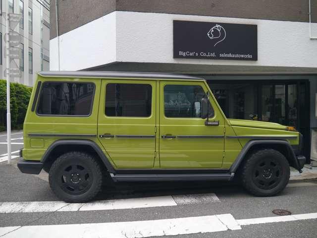 Ｇクラス 　オリジナルカラークラッシックオプション　（ライトグリーン）（12枚目）