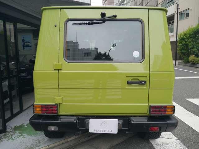 Ｇクラス 　オリジナルカラークラッシックオプション　（ライトグリーン）（13枚目）