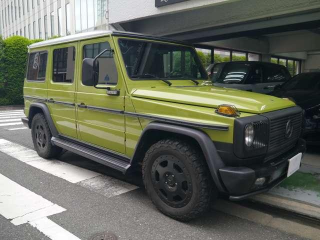 Ｇクラス 　オリジナルカラークラッシックオプション　（ライトグリーン）（16枚目）