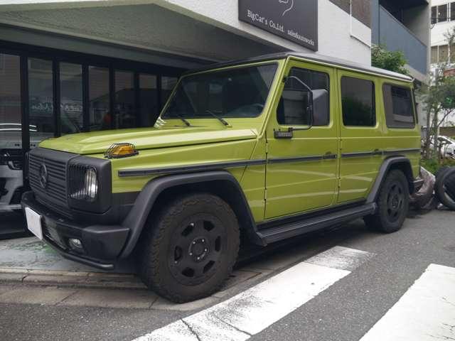 Ｇクラス 　オリジナルカラークラッシックオプション　（ライトグリーン）（29枚目）