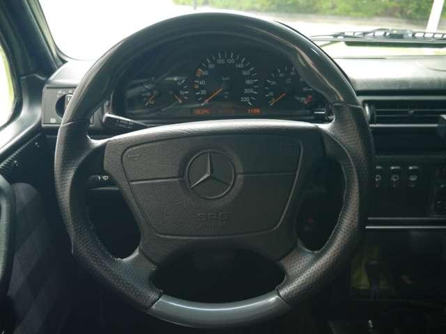 Ｇクラス 　オリジナルカラークラッシックオプション　（ライトグリーン）（38枚目）