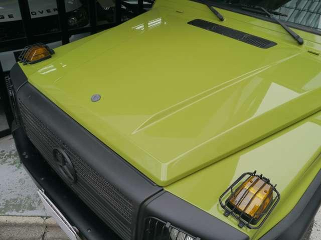 Ｇクラス 　オリジナルカラークラッシックオプション　（ライトグリーン）（46枚目）