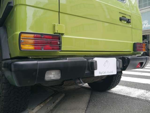 Ｇクラス 　オリジナルカラークラッシックオプション　（ライトグリーン）（49枚目）