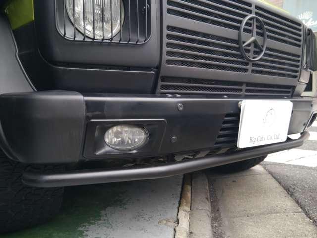 Ｇクラス 　オリジナルカラークラッシックオプション　（ライトグリーン）（50枚目）