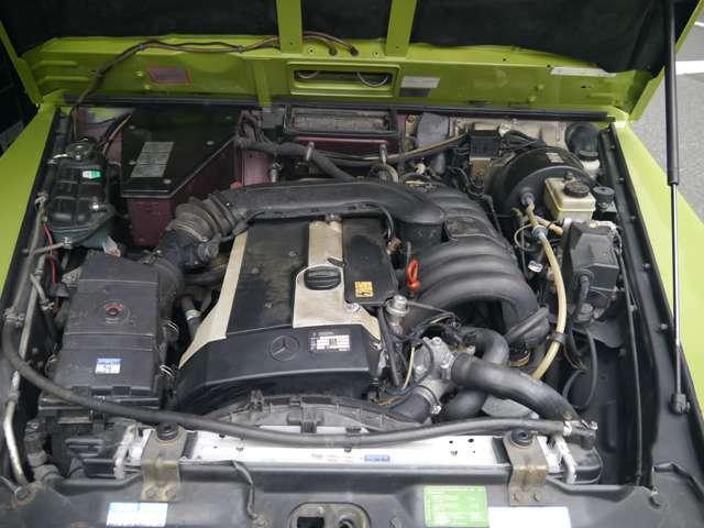 Ｇクラス 　オリジナルカラークラッシックオプション　（ライトグリーン）（55枚目）