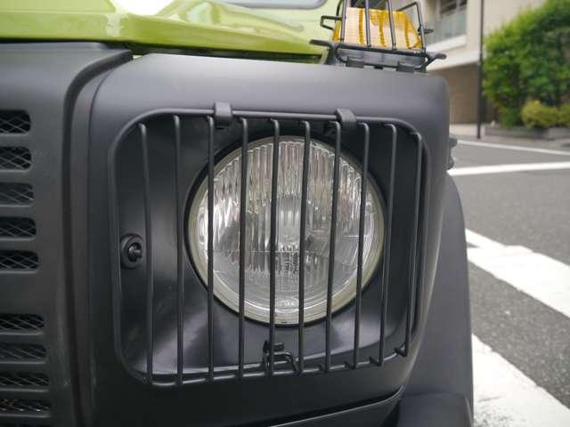 Ｇクラス 　オリジナルカラークラッシックオプション　（ライトグリーン）（56枚目）