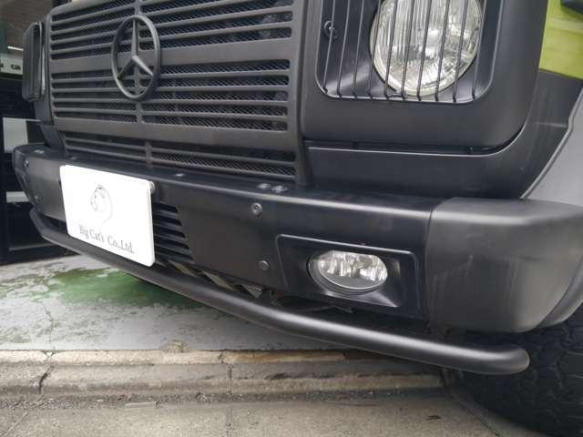 Ｇクラス 　オリジナルカラークラッシックオプション　（ライトグリーン）（57枚目）