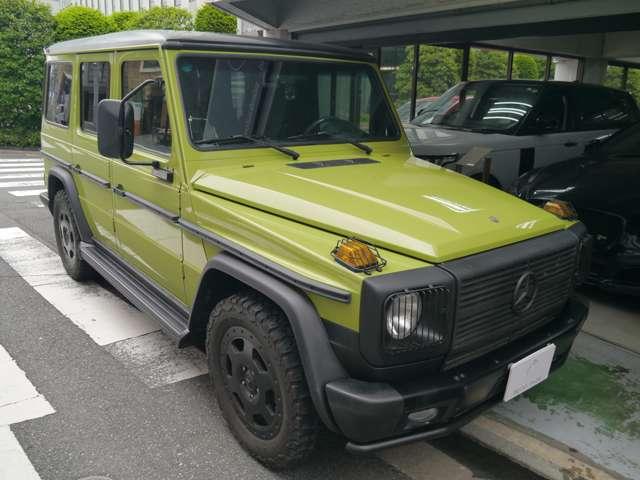 Ｇクラス 　オリジナルカラークラッシックオプション　（ライトグリーン）（60枚目）