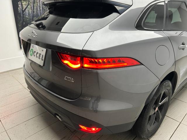 ボディカラーとテールライトのぶつかり合い！！