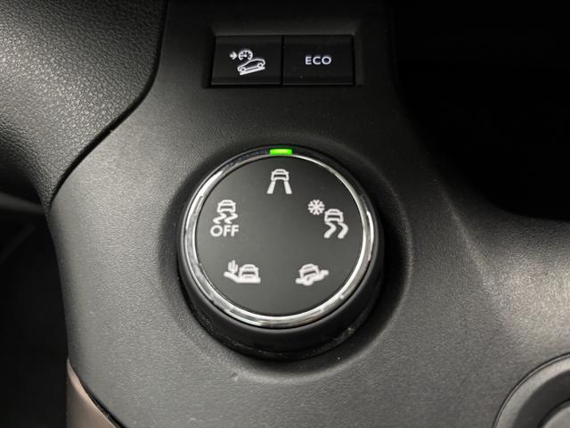 リフター GT アクティブクルーズコントロール ガラスルーフ カープレイ対応ディスプレイオーディオ バックカメラ レーンアシスト ブラインドスポットアシスト 両側スライドドア スマートキー(15枚目)