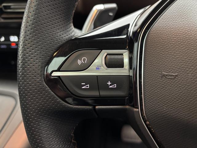 リフター GT アクティブクルーズコントロール ガラスルーフ カープレイ対応ディスプレイオーディオ バックカメラ レーンアシスト ブラインドスポットアシスト 両側スライドドア スマートキー(23枚目)