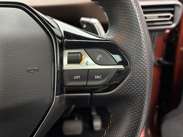 リフター GT アクティブクルーズコントロール ガラスルーフ カープレイ対応ディスプレイオーディオ バックカメラ レーンアシスト ブラインドスポットアシスト 両側スライドドア スマートキー(24枚目)