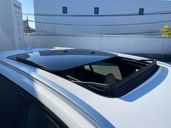 �֣��� ����������ȥ꡼������ȥ顡�£������ף� 9510070A30251121W001 5