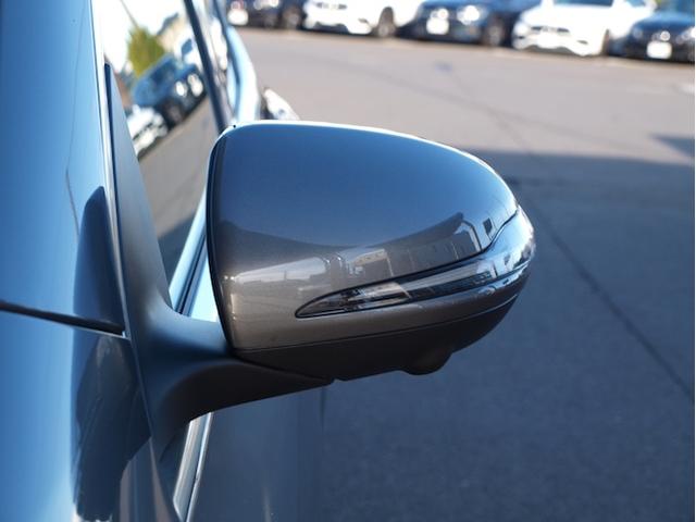 ＥＱＡ ＥＱＡ２５０＋　ＡＭＧラインパッケージ（5枚目）