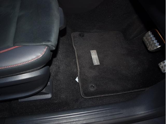 ＥＱＡ ＥＱＡ２５０＋　ＡＭＧラインパッケージ（15枚目）