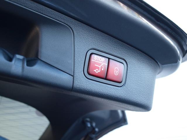 ＥＱＡ ＥＱＡ２５０＋　ＡＭＧラインパッケージ（36枚目）