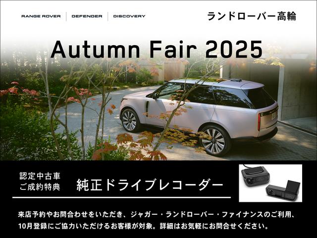 Ｅペイス ベースグレード　Ｄ２００　フィレンツェ・レッド（37枚目）
