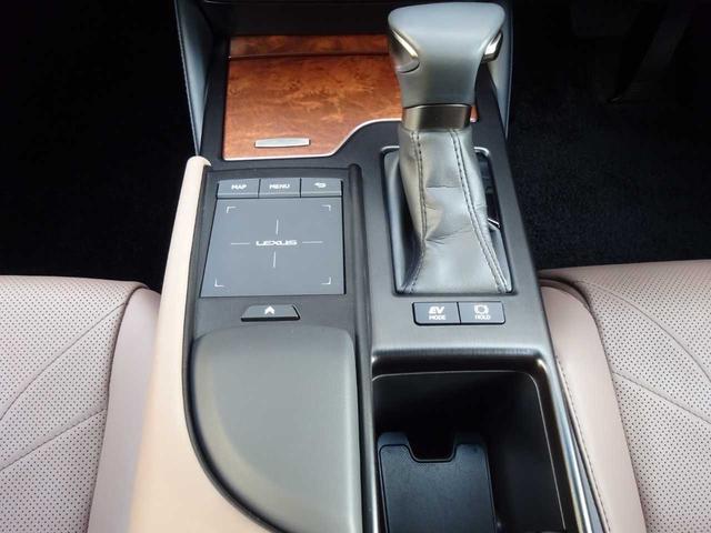 ＥＳ ＥＳ３００ｈ　バージョンＬ　レクサス　セーフティ　システム＋　サンルーフ　全周囲カメラ　ブラウンレザーシート　３眼ＬＥＤヘッドライト　衝突被害軽減ブレーキ　レーダークルーズコントロール　シートクーラー　シートヒーター（36枚目）