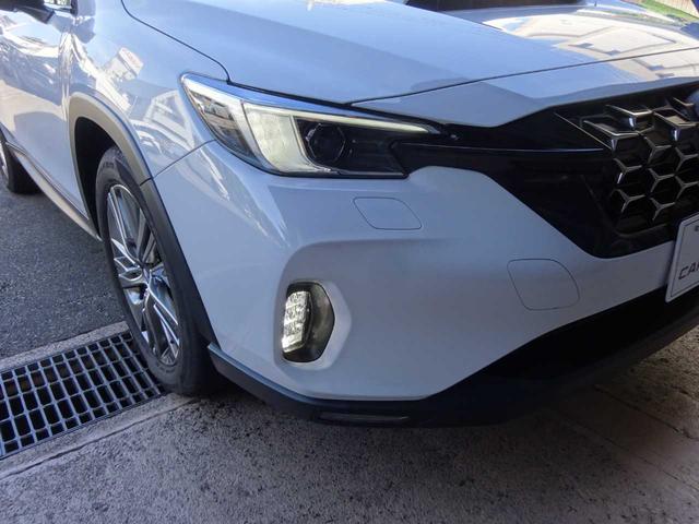 レヴォーグ レイバック リミテッドＥＸ　アイサイトＸ搭載　ハーマンカードンサウンドシステム　地デジＴＶ　ナビ　ＥＴＣ　アダプティブクルーズコントロール　衝突被害軽減ブレーキ　レーンキープ　ＬＥＤヘッドライト　アイドリングストップ（9枚目）