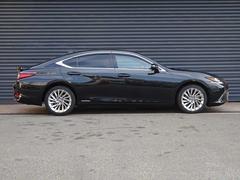 ţ ţӣ衡С̡쥯եƥƥ 9510098A30251029W001 4