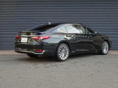 ţ ţӣ衡С̡쥯եƥƥ 9510098A30251029W001 5