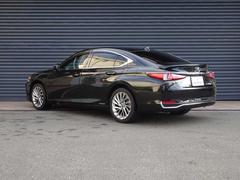 ţ ţӣ衡С̡쥯եƥƥ 9510098A30251029W001 7