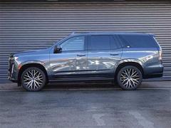 ǥå졼 ݡġץ쥤бæɻߡ£衡ȥҡ 9510098A30251204W001 4