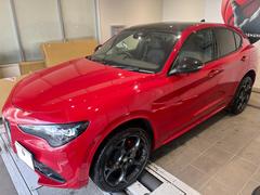 ���ƥ������ �����������ܡ��ѣ��ȥ�֡��ȡ������ꥢ���Ρ���Ͽ�Ѥ�̤���Ѽ֡���å� 9510145A30251219W001 6