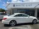 MERCEDES BENZ CLS-CLASS