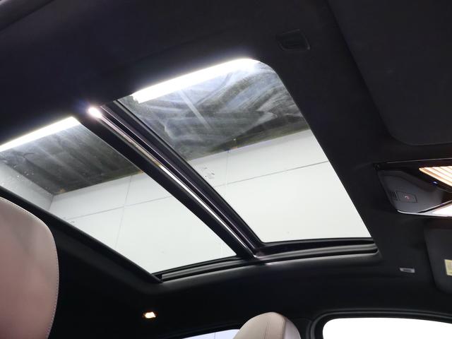 X4 xDrive 20d Mスポーツ サンルーフ レザー HKスピーカー バックカメラ ETC アルミ(39枚目)