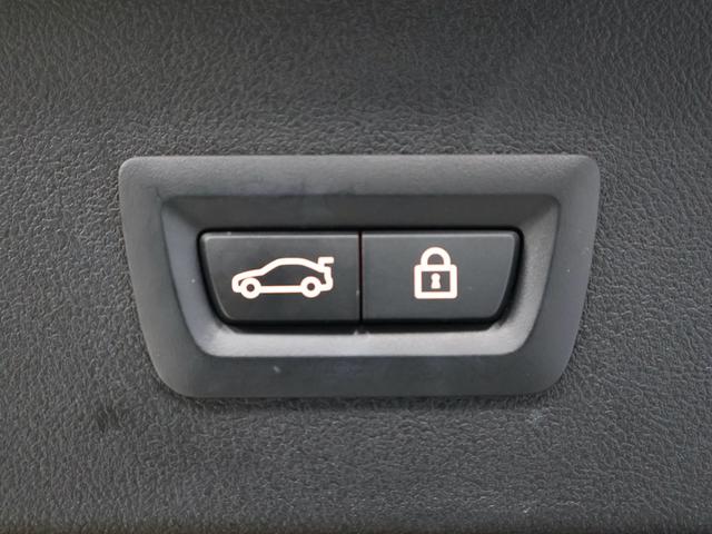 X4 xDrive 20d Mスポーツ サンルーフ レザー HKスピーカー バックカメラ ETC アルミ(55枚目)