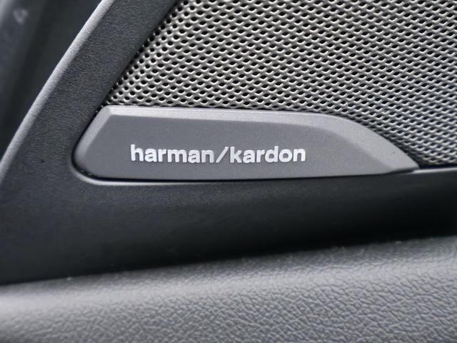 X4 xDrive 20d Mスポーツ サンルーフ レザー HKスピーカー バックカメラ ETC アルミ(65枚目)