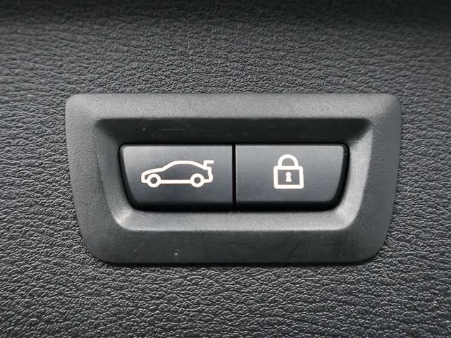 X1 xDrive 25i Mスポーツ ACC ナビ バックカメラ ETC アルミ(38枚目)