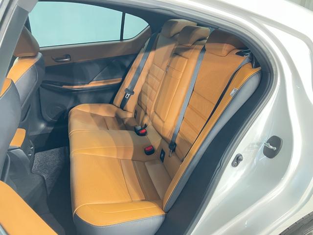 ＩＳ ＩＳ３００　バージョンＬ　認定中古車・２年保証・パノラミックビューモニター・ムーンルーフ付車　衝突被害軽減システム　ＥＴＣ　１９インチアルミホイール　オートクルーズコントロール　革シート　ドライブレコーダー　ＣＤ　メモリーナビ（20枚目）