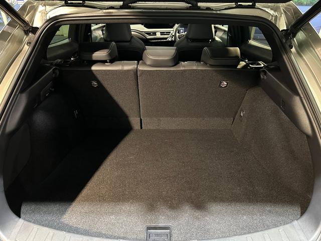 ＵＸ ＵＸ３００ｅ　バージョンＣ　ディーラー記録簿Ｒ３．Ｒ４．Ｒ５．Ｒ６．Ｒ７有　ブラインドスポット　ハンズフリーパワーバックドア地デジ　マークレビンソン　シートヒーター＆エアコン　ステアリングヒーター　パワーシート　ナノイー（31枚目）