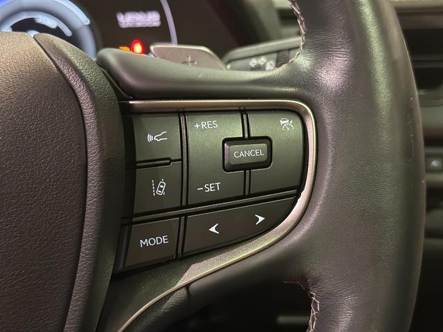 ＵＸ ＵＸ３００ｅ　バージョンＣ　ディーラー記録簿Ｒ３．Ｒ４．Ｒ５．Ｒ６．Ｒ７有　ブラインドスポット　ハンズフリーパワーバックドア地デジ　マークレビンソン　シートヒーター＆エアコン　ステアリングヒーター　パワーシート　ナノイー（41枚目）