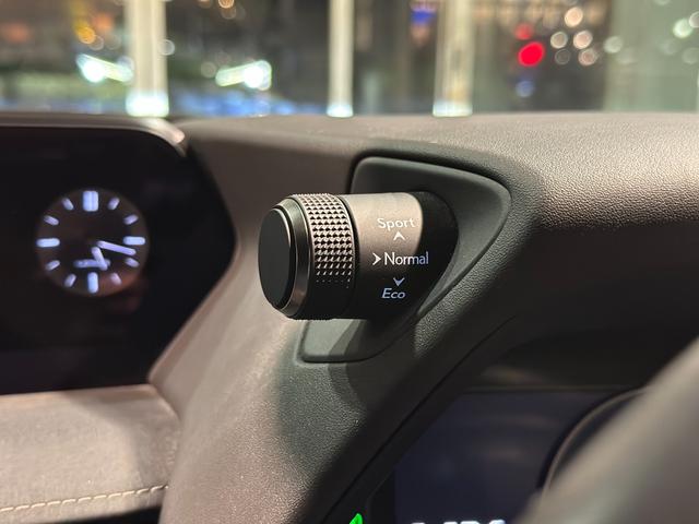 ＵＸ ＵＸ３００ｅ　バージョンＣ　ディーラー記録簿Ｒ３．Ｒ４．Ｒ５．Ｒ６．Ｒ７有　ブラインドスポット　ハンズフリーパワーバックドア地デジ　マークレビンソン　シートヒーター＆エアコン　ステアリングヒーター　パワーシート　ナノイー（49枚目）