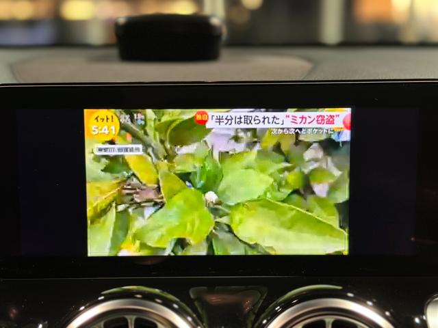 ＧＬＢ ＧＬＢ２００ｄ　４マチック　ＡＭＧラインパッケージ　ＡＭＧラインＰＫＧ　オフロードエンジニアリングＰＫＧ　前席パワーシート　前席シートヒーター　フットトランクオープン　３６０度カメラ　前後ドラレコ　ワイヤレスチャージ　ブラインドスポットアシスト（51枚目）