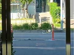 أ ͣ顡إåɥåץǥץ쥤ãáȥҡ꡼ѥ 9510212A30251030W002 4