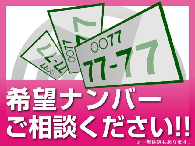 ３００ＴＥ　特注グリーンレザー内装(41枚目)